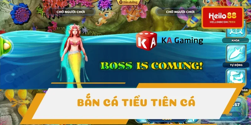 Bắn cá Tiểu Tiên Cá là siêu phẩm được sáng tạo từ KA Gaming Bắn cá Tiểu Tiên Cá là siêu phẩm được sáng tạo từ KA Gaming