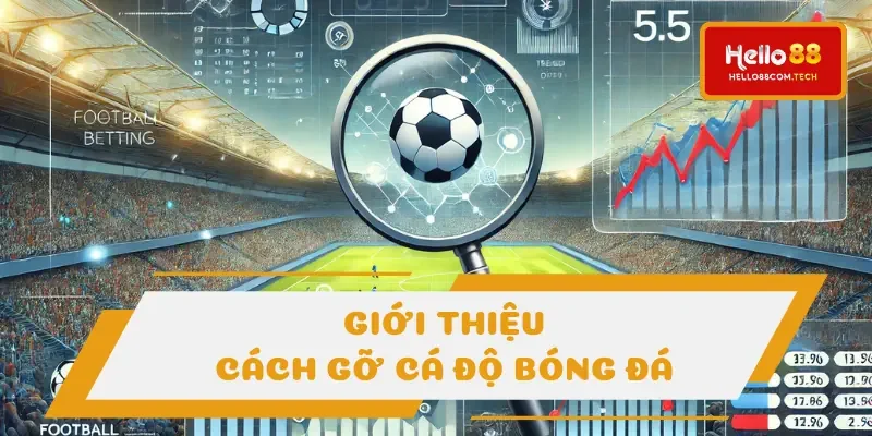 Cách gỡ cá độ bóng đá đòi hỏi nhiều yếu tố Cách gỡ cá độ bóng đá đòi hỏi nhiều yếu tố